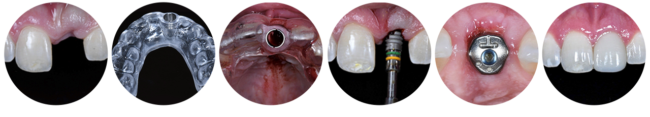 Evolution Education Series Dr. David Wong