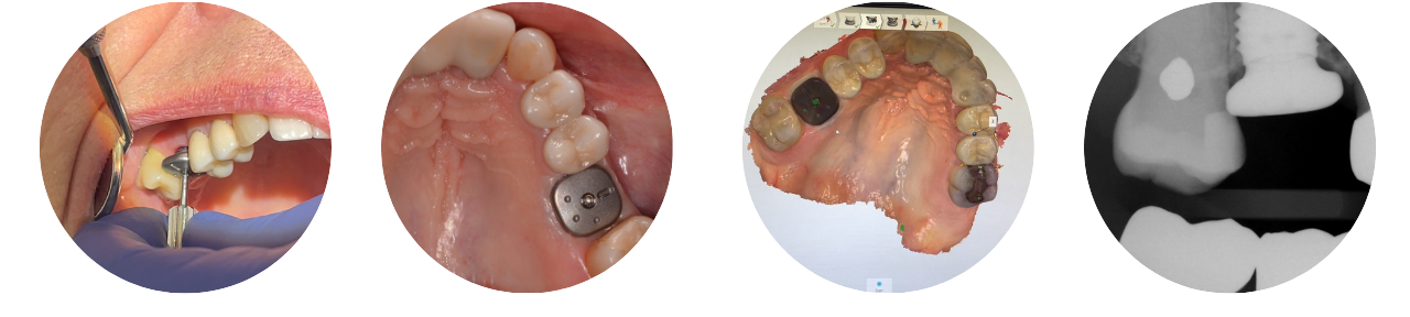 Evolution Education Series