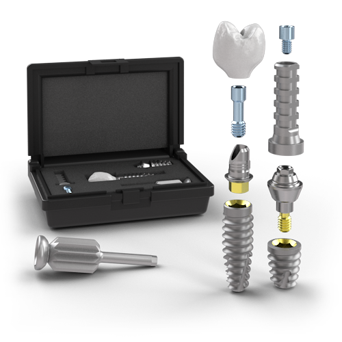 Oversized Patient Education Model