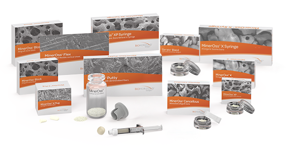 Bone Graft products